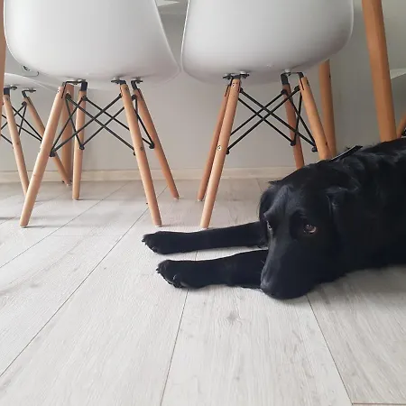 Apartament ~ The Blue ~ 1bd Flat Near Asparuhovo Sea Garden